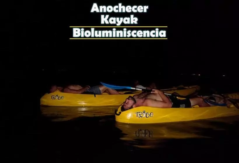 ホテル Bioluminiscencia Hostel Tours   North