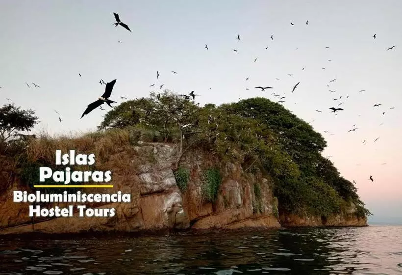 ホテル Bioluminiscencia Hostel Tours   North
