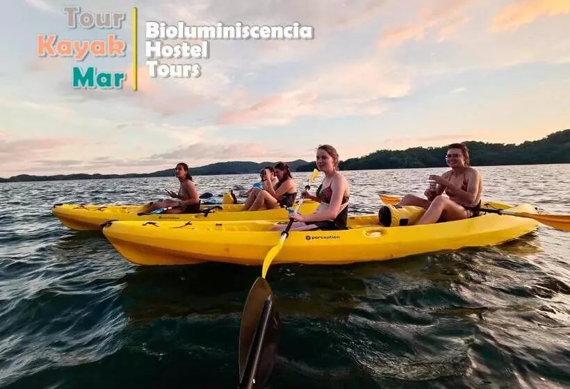 ホテル Bioluminiscencia Hostel Tours   North