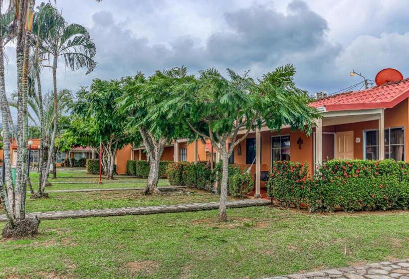 هتل Paradise C 43