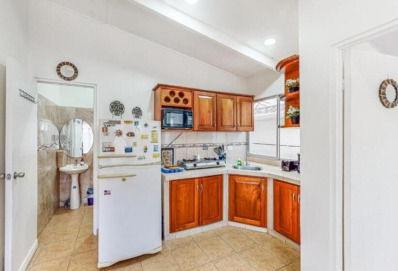 هتل Paradise C 43