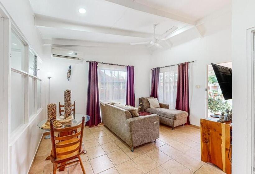 هتل Paradise C 43