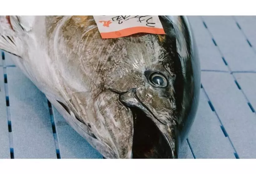 ホテル Pulse Inn Katsuura   Vacation Stay 44386v