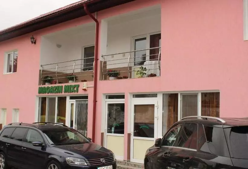 ペンション Casa Dănuț
