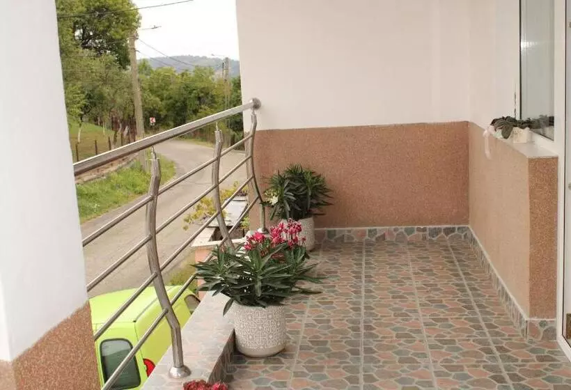 ペンション Casa Dănuț