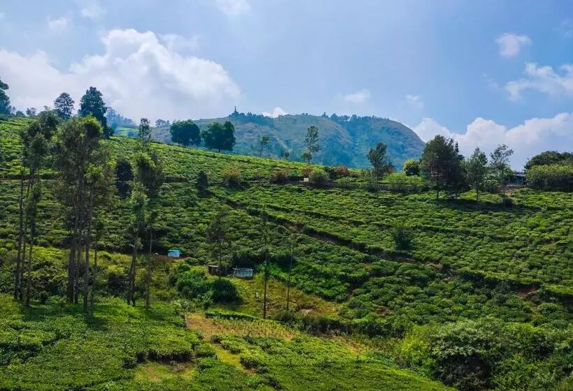 ペンション Cloud & Mist Inn, Kotagiri By Lexstays