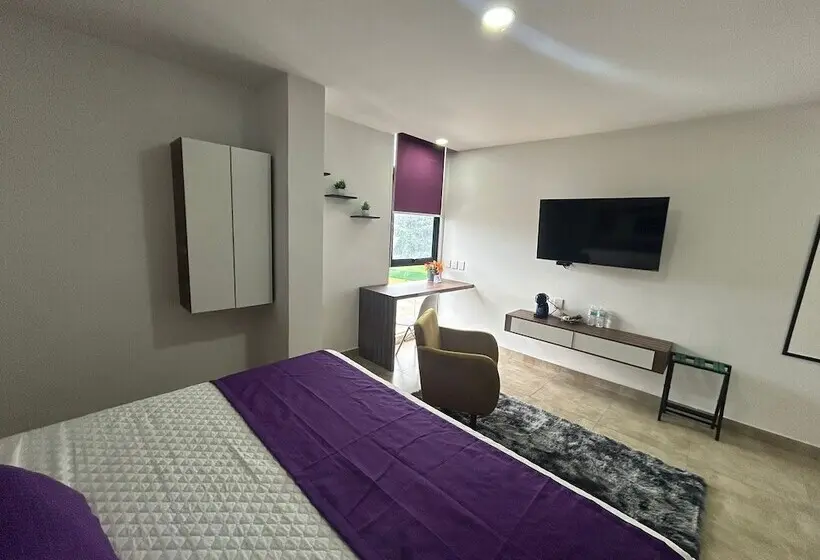 Winday Veracruz Hotel Express