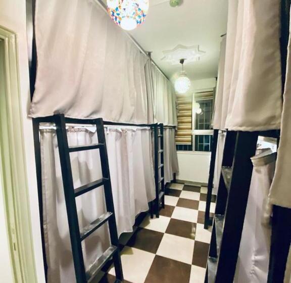 هاستل Friends Oasis