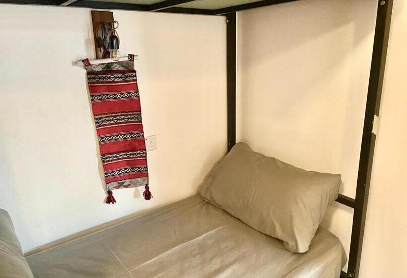 هاستل Friends Oasis