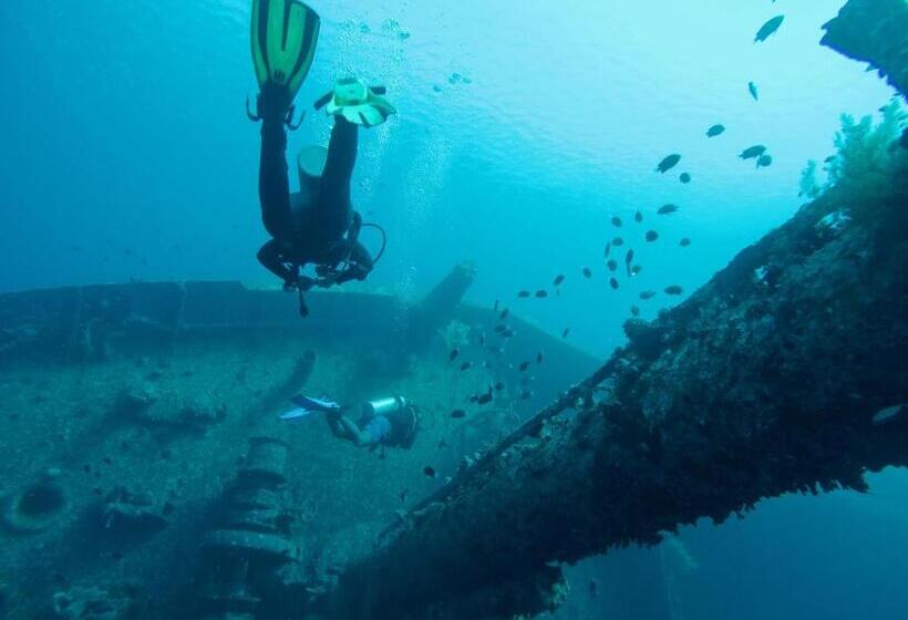 هاستل Friends Oasis