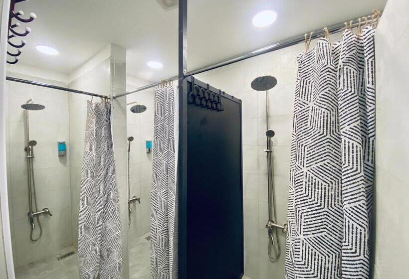 هاستل Friends Oasis