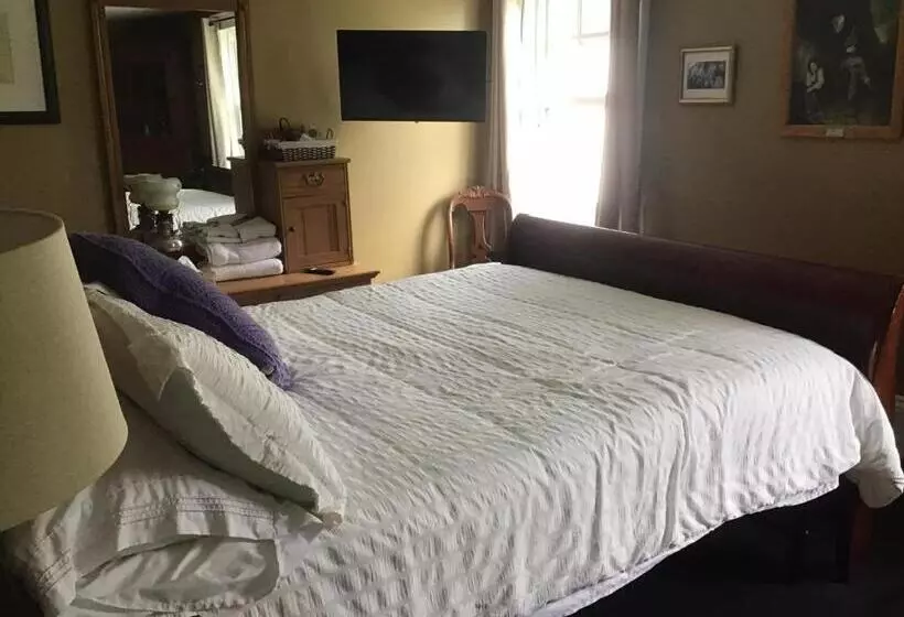 ベッドアンドブレックファースト Celtic Mansion Annfield Manor