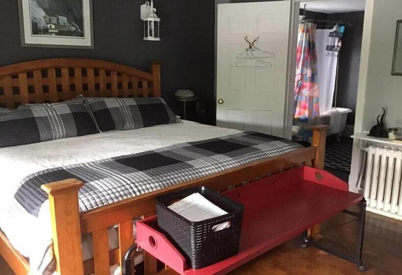 Bed and Breakfast Celtic Mansion Annfield Manor