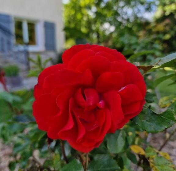 住宿加早餐 Chambre D Hôtes ô Rendez Vous