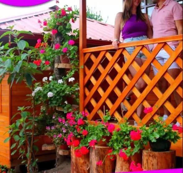 Aamiaismajoitus (B&B) Paraiso Orquideario