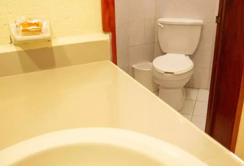 Hotelli Plaza Mazari