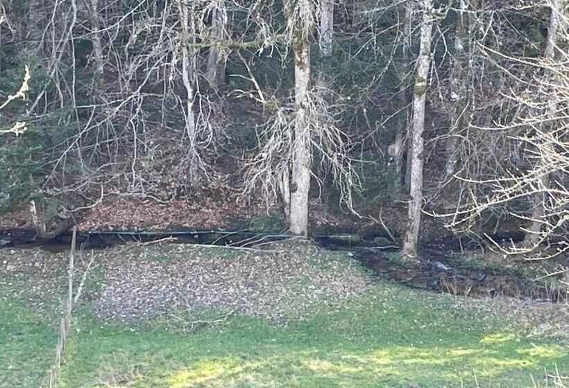 بنسيون Auberge De La Dorette