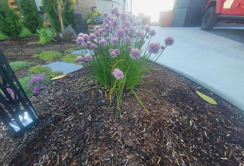 بنسيون Horizon Hideaway