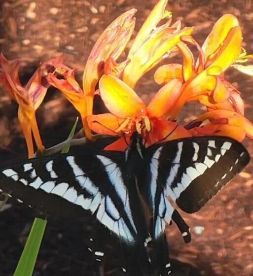 بنسيون Horizon Hideaway