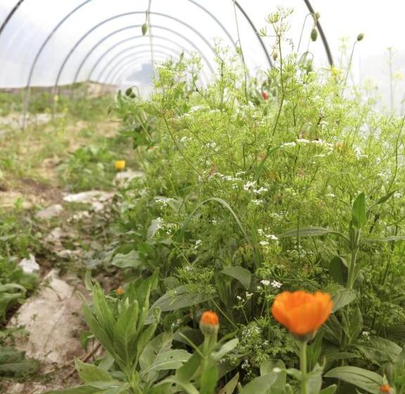 펜션 Lorenzhof By Julka Self Checkin