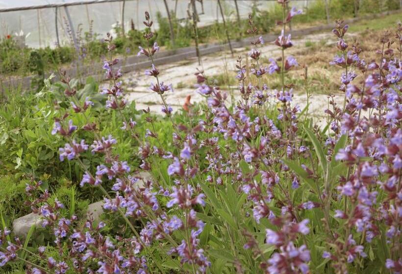 펜션 Lorenzhof By Julka Self Checkin