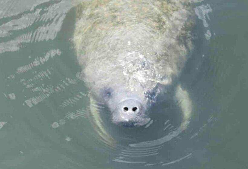 پانسیون Private Guest Suite On The Water W/pool & Kayaking