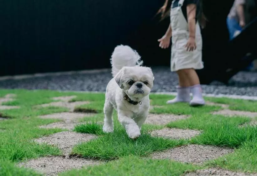 Private Your Resort Ittekurai 松山