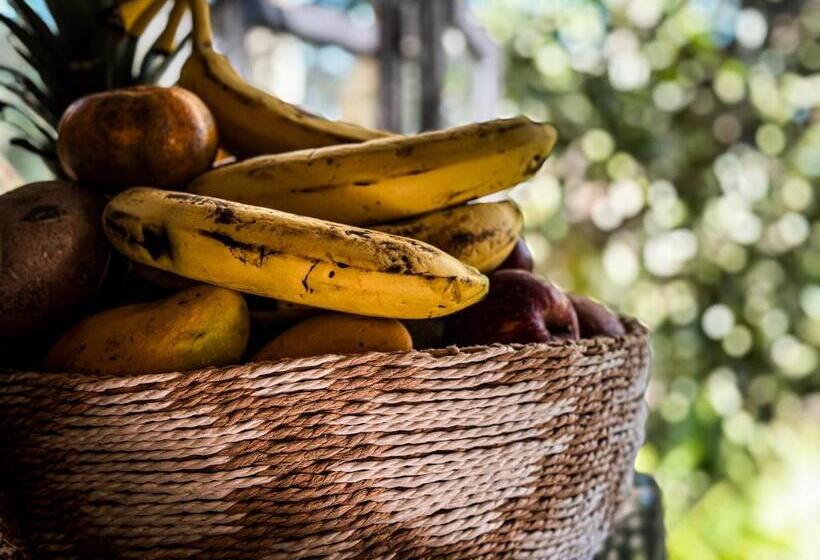 住宿加早餐  Casa Corazon San Pancho Nayarit