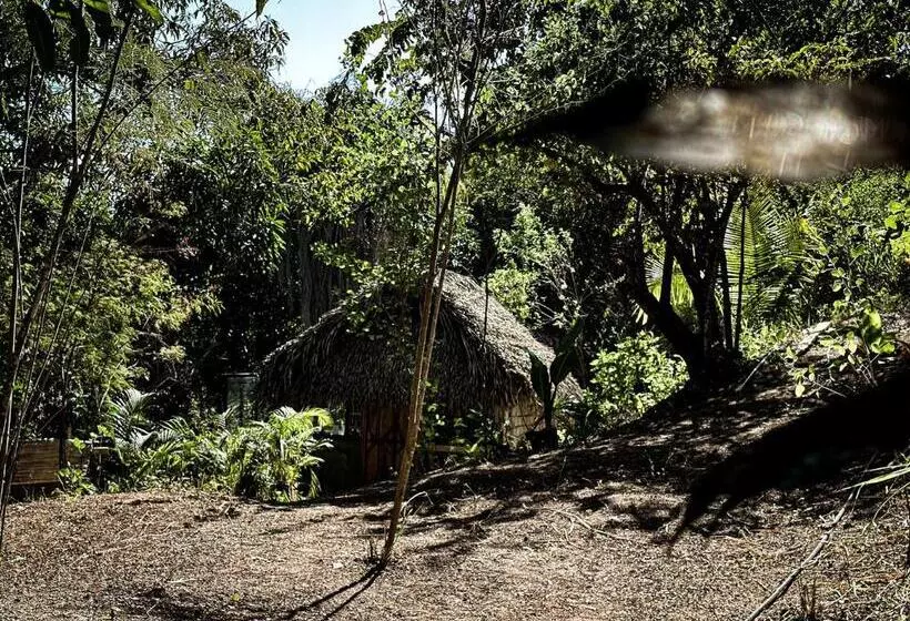 ベッドアンドブレックファースト Casa Corazon San Pancho Nayarit