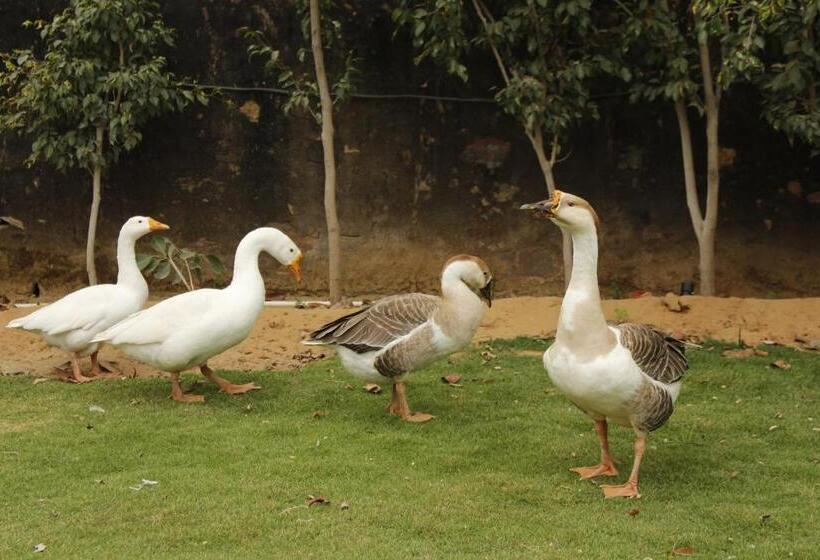 Hotel Farm Aavjo A Conscious Stay