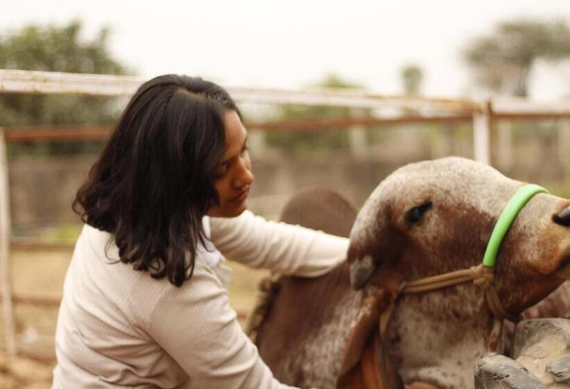 Hotel Farm Aavjo A Conscious Stay