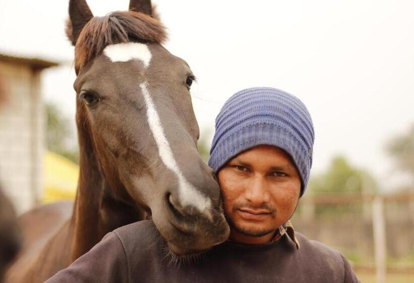 Hotel Farm Aavjo A Conscious Stay