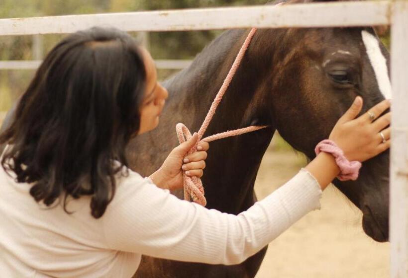 Hotel Farm Aavjo A Conscious Stay