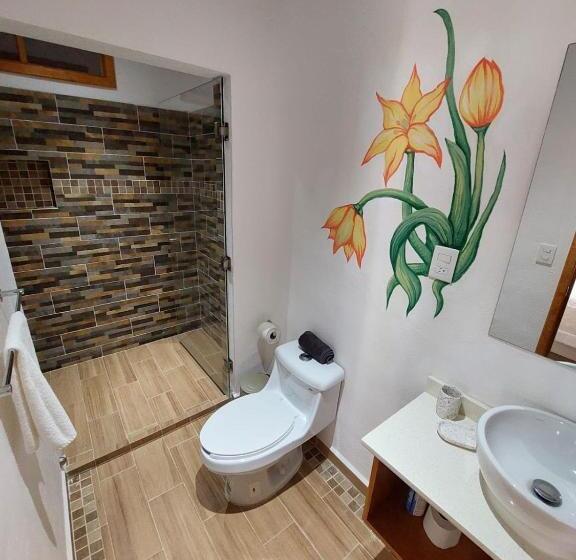 פנסיון Casa Amarxua