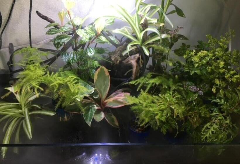 پانسیون Spr Guest House Shirahama   Vacation Stay 12073v