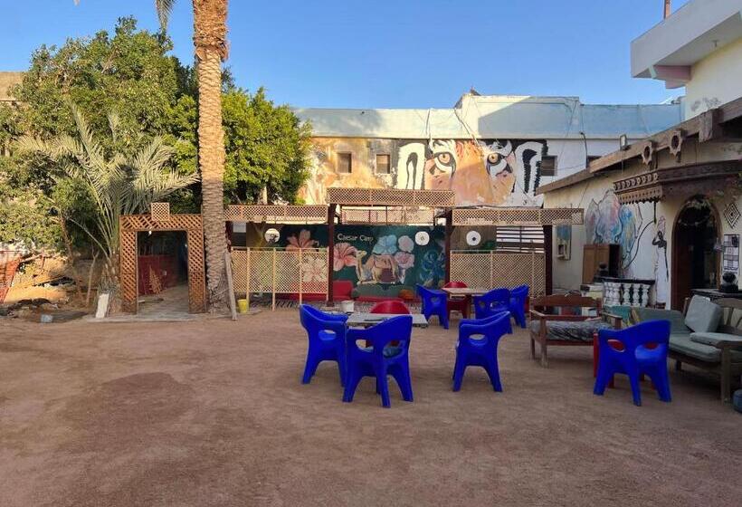 مبيت وإفطار Caesar Camp