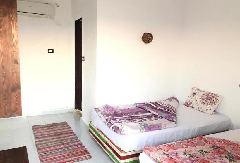 مبيت وإفطار Caesar Camp