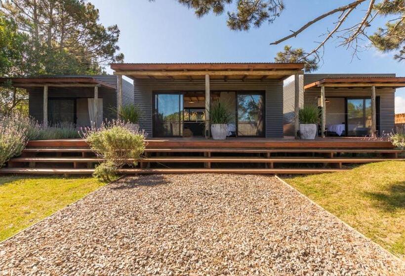 Bed and Breakfast Camino Jose Ignacio