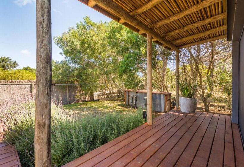 Bed and Breakfast Camino Jose Ignacio