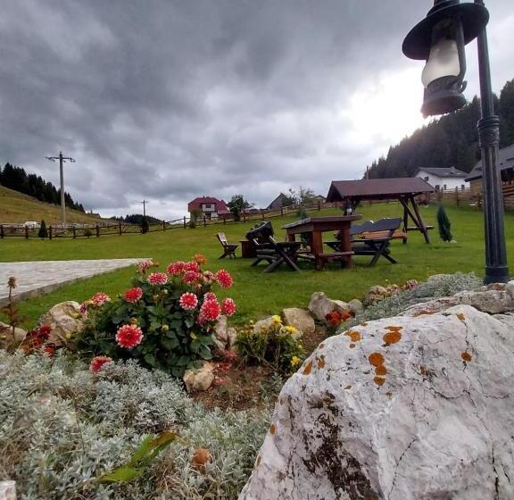 住宿加早餐  Casa Bălan