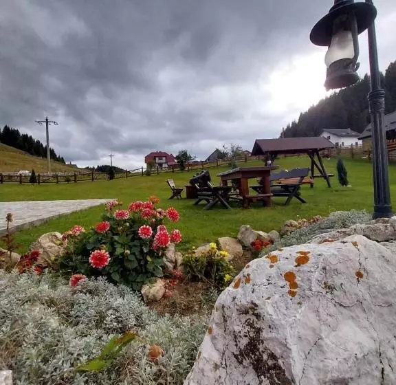 ベッドアンドブレックファースト Casa Bălan