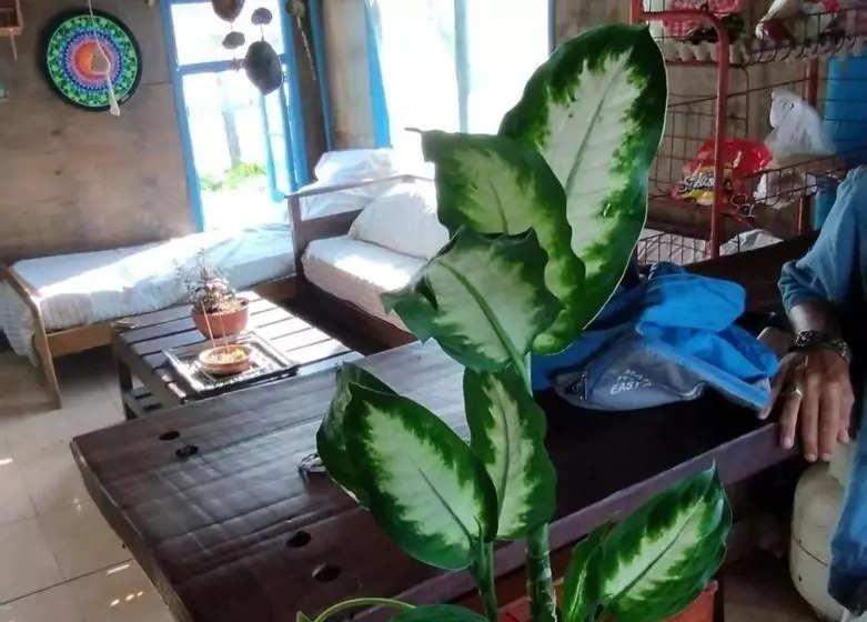 Aamiaismajoitus (B&B) La Farola