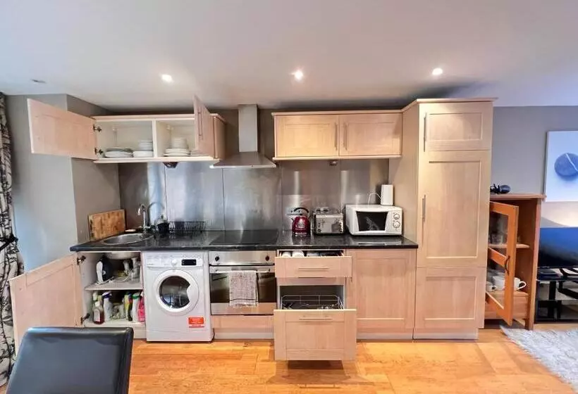 Great River Thames View Entire Apartment In The Most Central London