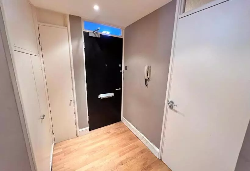 Great River Thames View Entire Apartment In The Most Central London