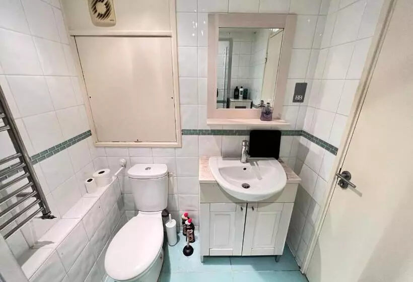 Great River Thames View Entire Apartment In The Most Central London
