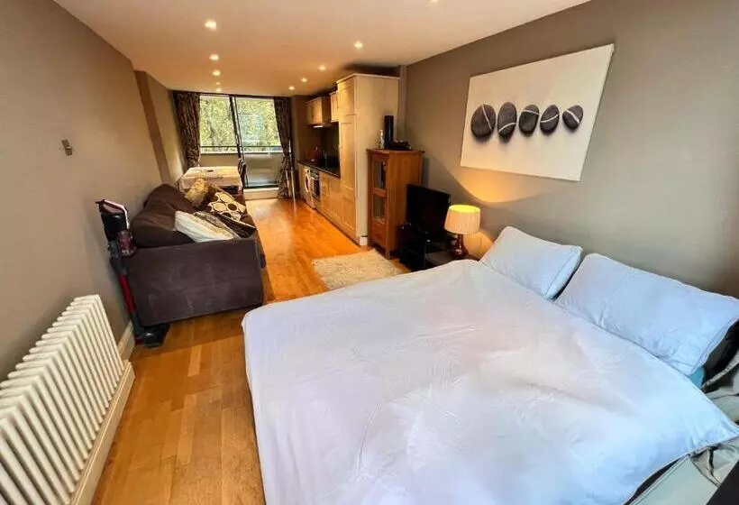 Great River Thames View Entire Apartment In The Most Central London