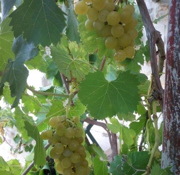 هتل Abbondanza® Agriturismo