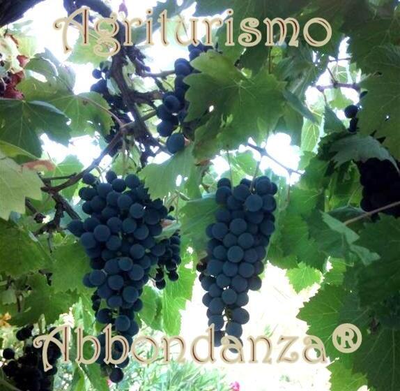 هتل Abbondanza® Agriturismo