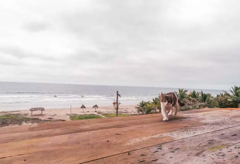 ホテル California