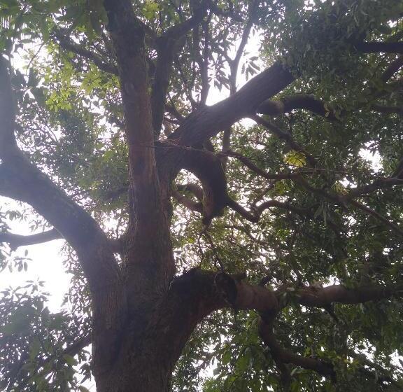 فندق Gundappa Cafe Gokarna Kudle Beach